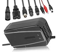 24V/36V/48V/60V/72V 3A Lead Acid Battery Charger Compatible with Lead Acid Batteries in Electric Bicycles, Scooters, Go-Karts | Safe & Reliable | Not for Li-ion Batteries (24V 3A)