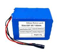 24V 42Ah Lithium Ion Battery 7S5P Rechargeable E-Bike Battery with BMS Protection with Charger Long Battery Life for 200W-600W Electric Scooter Motor 24V 42Ah,Bullet+SM