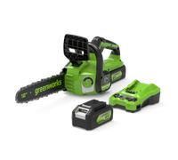 24V Chainsaw 30cm - 4Ah Battery