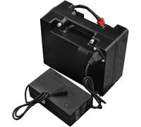 24V Electric Wheelchair Battery Lithium Battery 12Ah 15Ah 18Ah 20Ah 25Ah 30Ah 35Ah 40Ah 45Ah 50Ah for 1200W-250W Motor with Charger 24V 25Ah