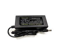 25.2V 1.5A charger 6 Series 6S Li-ion battery charger Electric vehicles dedicated 24V 1A Polymer