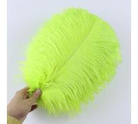 25-30Cm Colorful Ostrich Feather DIY Handmade Craft Decorations 10 Pieces Fluorescent Green