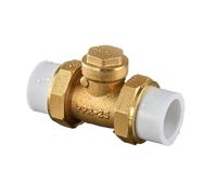 25/32/40/50/63mm BSP Female Thread Brass Swing Check Valve Double Movable Joints One Way Non-Return Valve Prevent Water Backflow(50mm)