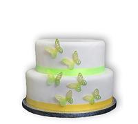 25 Gradient Colour Butterflies Edible Wafer Paper Cake Cupcake Toppers (Yellow and Green)