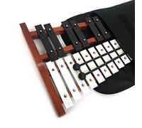 25 Key Wooden Xylophone/Glockenspiel by ProKussion with Bag Case
