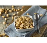 25 Kg | Macadamia | Nuts Natural | Unsalted | Without Additives | Nut