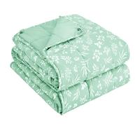 25 lbs Weighted Blanket Queen Size for Adults (60”x 80”, Cyan) Cooling Heavy Blanket for Sleeping Perfect for 240-260 lbs, Winter Thick Breathable Blanket with Premium Glass Bead, Machine Washable