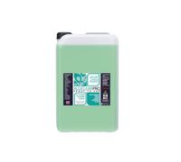 25 Litres - Algiclear Pro Ready to Use - Green Algae, Liverwort & Mould Remover, Caravan Cleaner for Large Outdoor Spaces - Cleans & Brightens Fences, Roof Tiles, Concrete & Bricks up to 300 m²