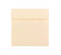 25 Magnolia Large Square Envelopes - 220mm x 220mm - Straight Wallet Flap Peel/Seal Cream Coloured Envelopes - 120gsm Clariana Paper - to Fit Large Square Inserts