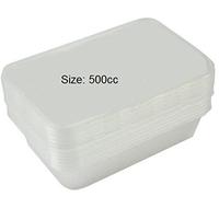 25 Microwave Plastic Containers With Snap on Lids 500ml Pots Food Safe Takeaway Party Tubs Freezer Storage Box Fridge Clear