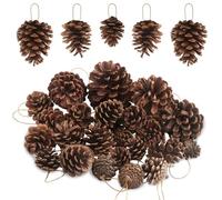 25 PCS Pine Cones Christmas Decorations Natural Christmas Pine Cones with String Hanging Pinecones for DIY Crafts Home Xmas Tree Winter Wreath Garland Wedding Decorations, Assorted Sizes