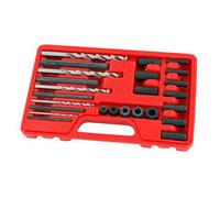 25 Piece Screw Spline Extractor Set Blow Mould Case (Neilsen Ct2274)