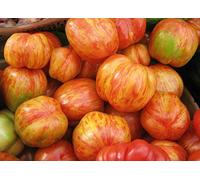 25 Seed of Tigerella Tomato Seeds