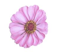 25 Sheets Flowers Shape Stick Notes Auto Memo Note Writing Pad Adhesive Diaries Page Notepads for School Florals Notes