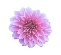 25 Sheets Flowers Shape Stick Notes Auto Memo Note Writing Pad Adhesive Diaries Page Notepads for School Florals Notes