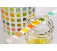 25 x Urine Test Strips 10 Parameter Urinalysis Testing Kit Multisticks Urine Strip Stick - pH, Glucose, Ketone, Liver, Kidney & UTI