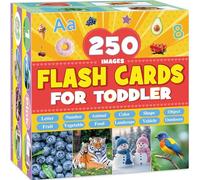 250 First Words Flashcards Images, Flash Cards for Toddlers Age 1 2 3, 125pcs Double Sided Learning Cards Baby Flash Cards Letters Numbers Colors Shapes Animals Landscapes Fruits Vegetables Foods