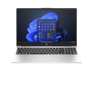 250 G10 (816G1EA) (silber, Windows 11 Pro 64-Bit, 512 GB SSD)