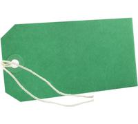 250 Pack - 120 x 60mm Green Coloured Strung Tags