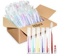 250 Pack Disposable Toothbrush and Toothpaste Set, Bulk Individually Wrapped Travel Toothbrush, Manual Toothbrushes with Toothpaste Kit for Hotel Guest Donation Homeless (5 Colours)