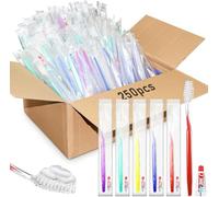 250 Pcs Disposable Toothbrushes Bulk with Toothpaste Individually Wrapped Community Aid Supplies Travel Toothbrush for Hotel Camping School