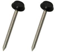 250 x Black UPVC 30mm Poly Top Pins Nails Plastic Headed Fascia Fixings Polytop