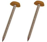 250 X Light Oak/tan Upvc 30mm Poly Top Pins Nails Plastic Headed Fascia Fixings Polytop
