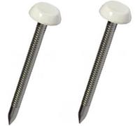 HomeSmart UPVC Panel & Top Pins Nails Plastic Headed Fascia & Roofing Fixings Secure PVC Cladding for Home Projects (250, 40mm)