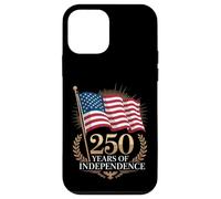 250 Years American Flag USA 250th Anniversary Case for iPhone 12 mini