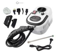 2500 W steam spray - multifunction cleaner with 6 levels control and instant start, eliminating grease, encrustations, , professional sanitation of the