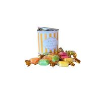 250g Paint Pot Tin of Chocolate Fruits Sweets
