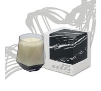 250g Scented Candle Stardust Luxury Aroma Black Forest Fragrance Aromatherapy