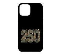 250th USA Anniversary Founding Fathers Skeletons Case for iPhone 12 mini