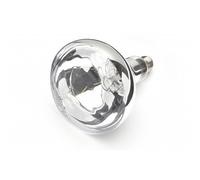 250w Animal Heat lamp ES Screw in - Clear Infra Red