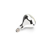 (250w) Buffalo Infrared Heat Lamp Clear ES