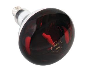 250W Heat Lamp Bulb Red ES - AG570