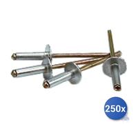 250X Aluminum Rivets Extra Wide Head E-100 Mm 4.8X16