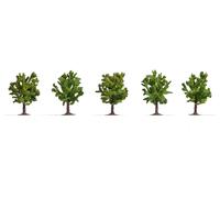 25615 Noch Profi 5 Flowering Fruit Trees Height 80 Mm