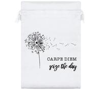 25cm 'Carpe Diem: Seize The Day' Satin Drawstring Bag/Pouch (SB00116028)