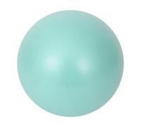 25cm Mini Yoga Ball Pilates Core Strength Balance Exercise Fitness(E)