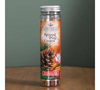 25g Spiced Pine Cones Scented Christmas Scentsicles with 6 Hanging Hooks