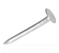 25KG 30MM X 2.65 GALVANISED Clout Nails Large Head Roofing DRYLINING