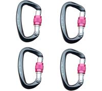 25kN Auto Locking Carabiner Heavy Duty D-Shape for Rock Climbing, Rescue, Hammock, Camping & Dog Leash, Black (4 Pack)