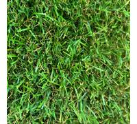 25mm Artificial Grass - 0.5M X 1M - Natural And Realistic Looking Fake Lawn Astro Turf