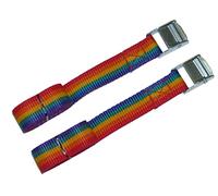 25mm Tie Down Strap with Alloy Cam Buckle (Pack of 2) (rainbow, 4 metres)