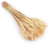 25Pcs/Lot Dried Stems Wheat Artificial Wheat Stalks Natural Wheat Ear Dried Flowers Wedding Flowers Arrangement Autumn Home Dining Table Decoration Clever