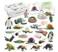 25PCS Montessori Life Cycle Learning Education Animal Figures Craft Model Kit Preschool Science Toys for Curiosity Natural World Knowledge Ideal Early