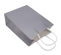 25Pcs Present Bag for Wedding Favor Bag With Handle, Large Capacity, Ideal for Party, Shopping, Outgoing, Not Easy to Wrinkle (Silver)