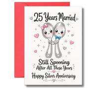 25th Wedding Anniversary Card For Husband Wife Funny Silver Celebration Married Couple Greeting A135