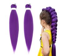 26 Inch Purple Hair Extensions for Braiding Pre Stretched Braiding Hair Purple Synthetic Braiding Hairs, Synthetic Crochet Hair Extensions for Braiding Hairs Halloween Costume Cosplay Stage Partiesie